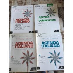 Libro Liceo L'agenda d' italiano a b